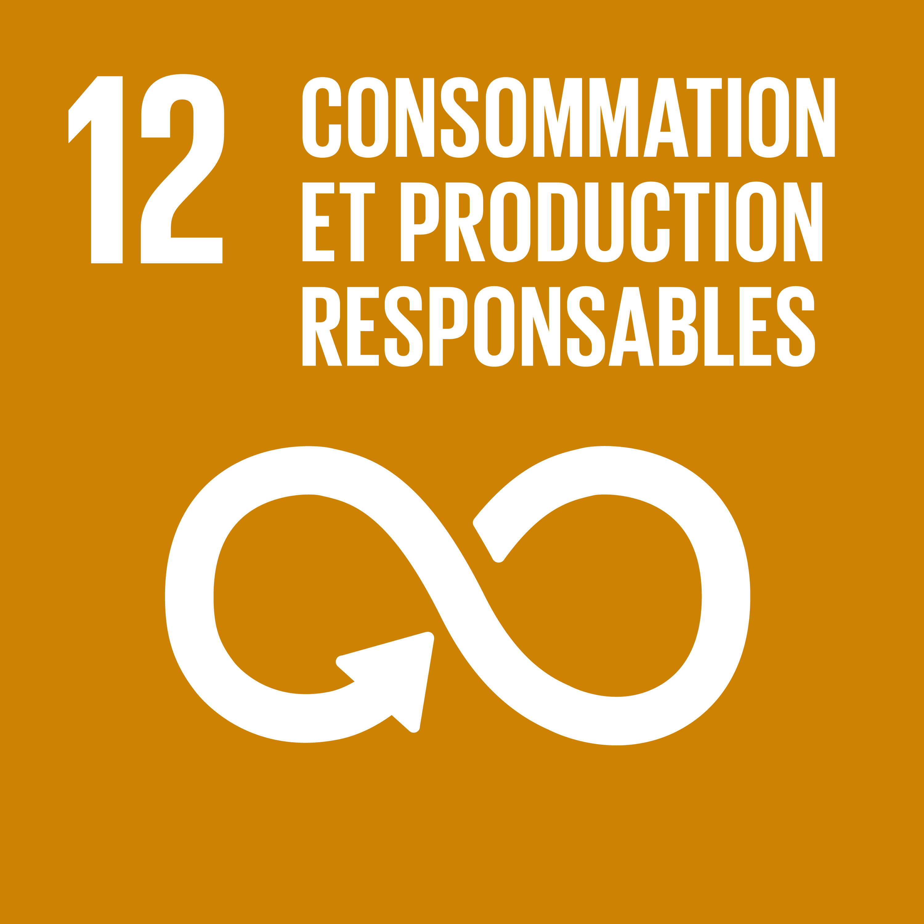 Consommation et production responsables