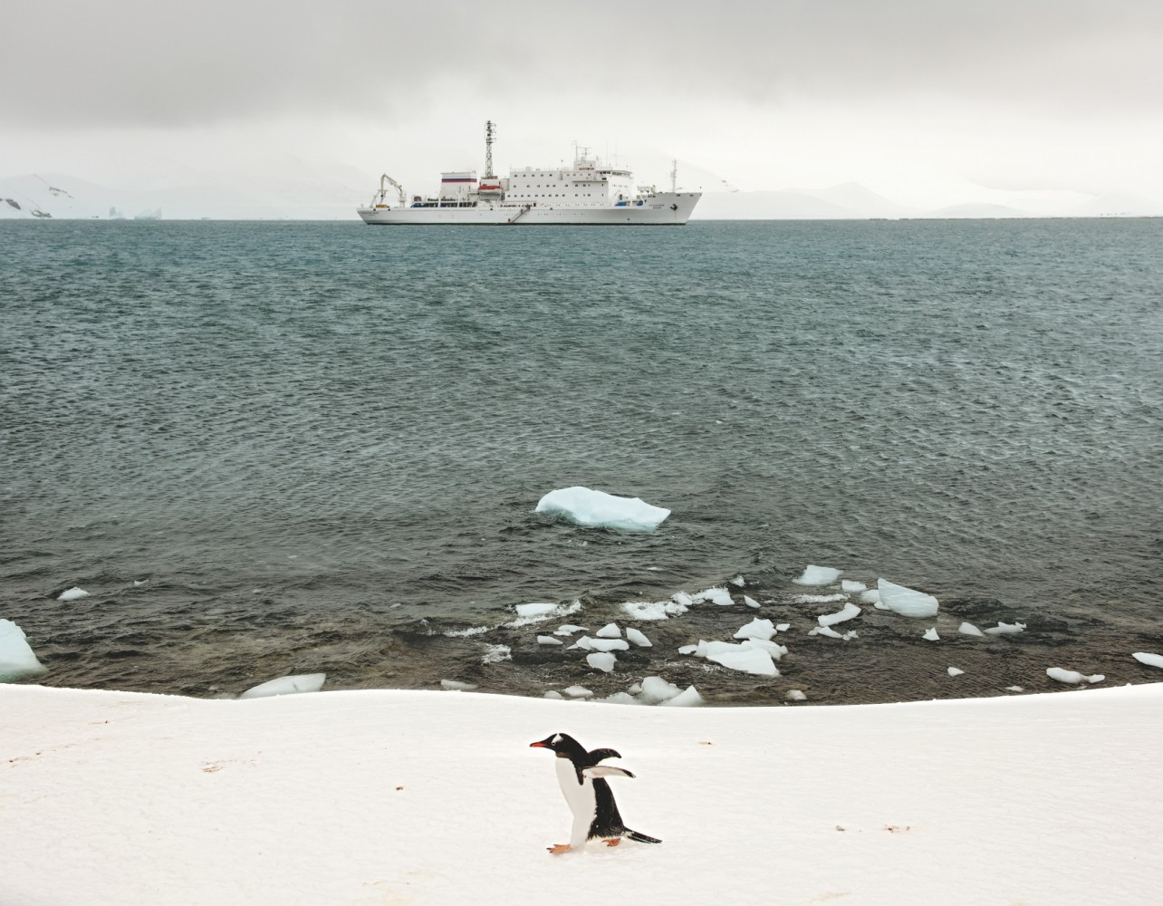 The Akademik Ioffe in the distance